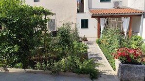 A narrow pathway between two buildings with a garden area on one side. - Apartments Emil (Murter)