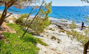 Beach nearby - Apartments Mijo (Murter)