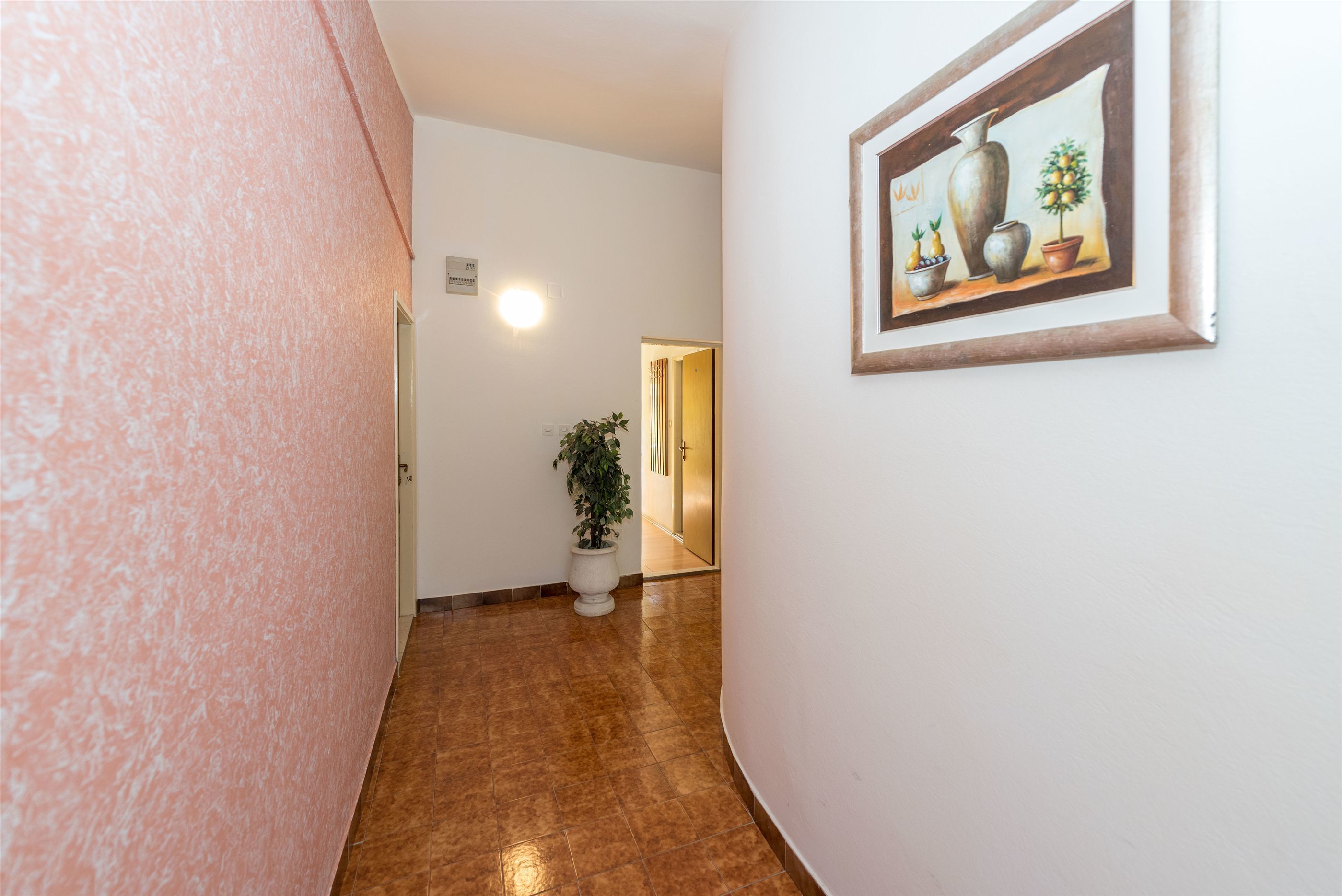 A hallway with a pink textured wall, a potted plant, and a framed artwork on the wall.