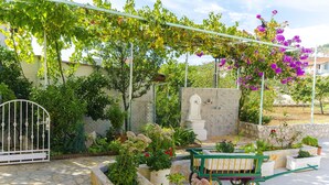 Un jardin avec des plantes en pot, un mur de pierre et un chariot vert.