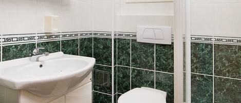 A bathroom with a white sink, a toilet, a shower, and a mirror above the sink.