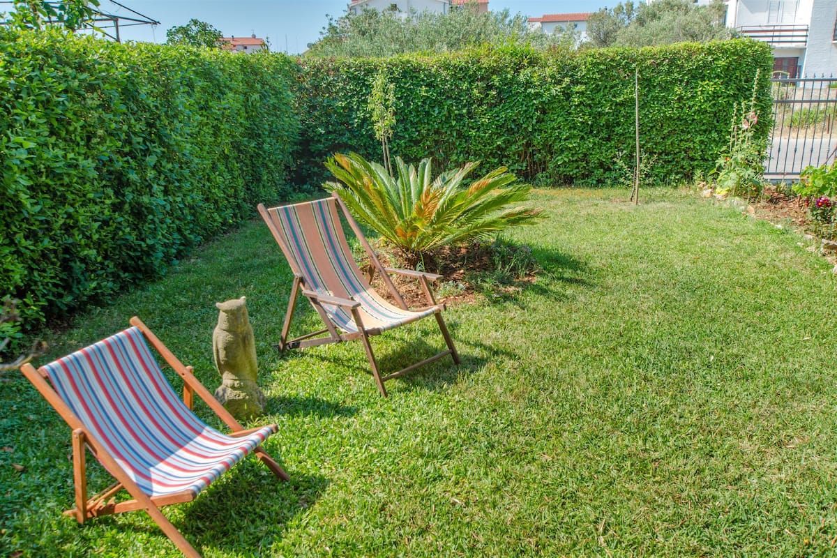 A grassy backyard with two striped lounge chairs and a small plant.