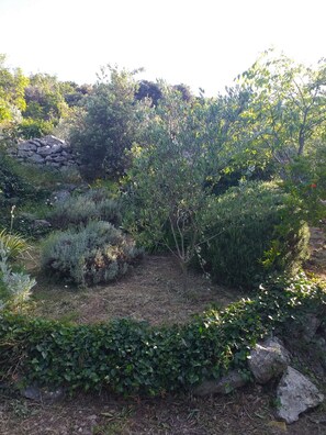 Exterior - House Radojka (Tisno)