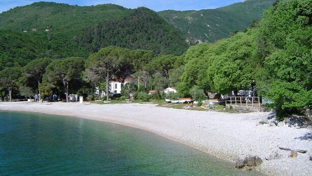 A beach with clear water, surrounded by green hills and trees. There are buildings and a fence along the shore. - Apartment Zorka (Medveja)