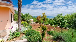 A garden with various plants and a palm tree, a building with a balcony, and a clear sky. - Apartment Zorka (Medveja)