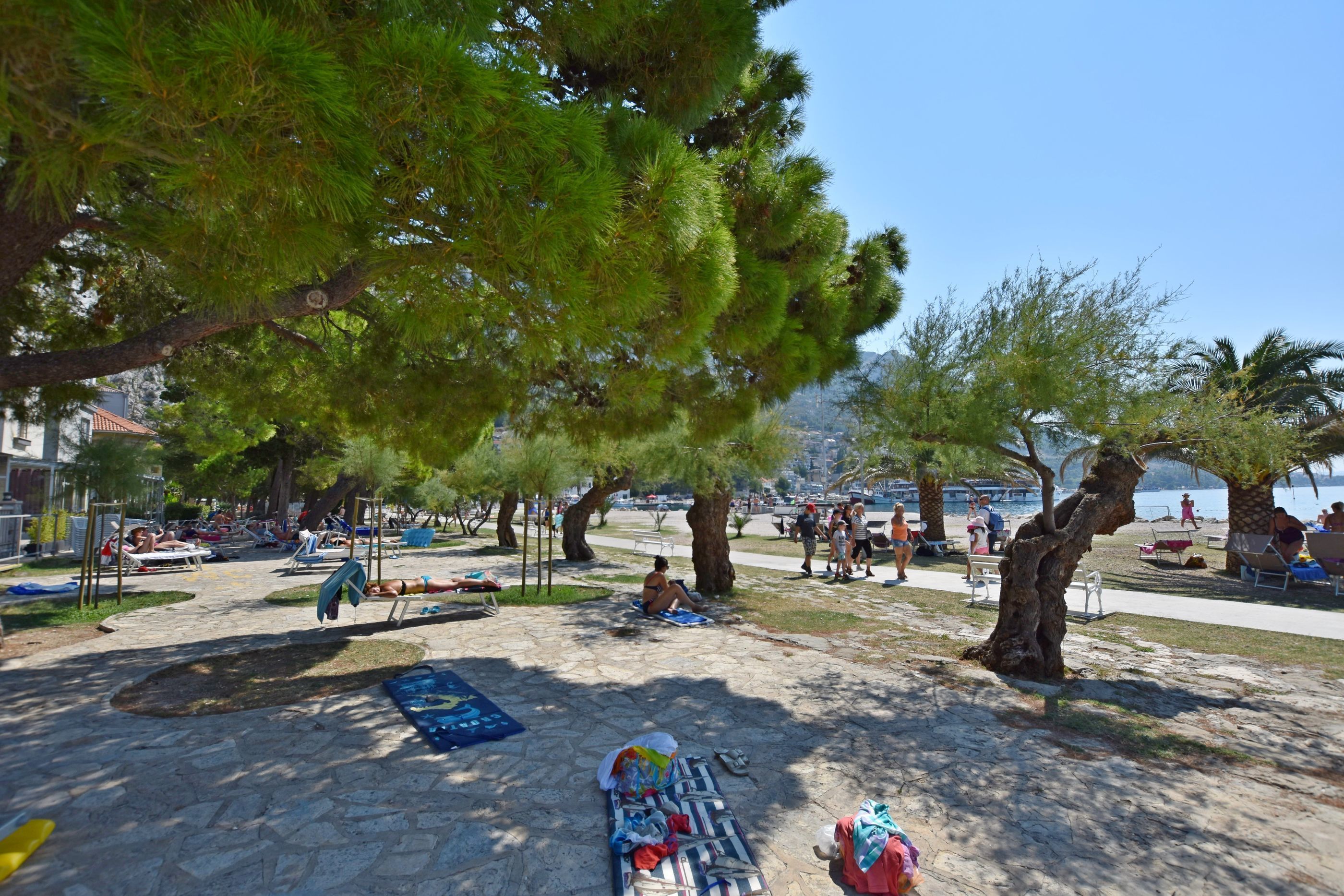 Un parc a la vora de la platja amb camins de pedra, taules de pícnic i ombrelles.