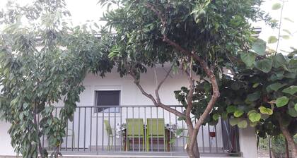 Apartment Branko