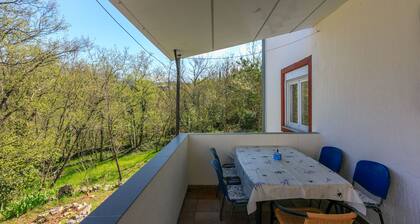 Apartments Ratko