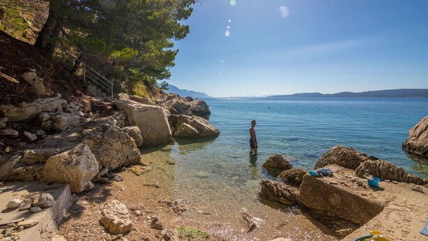 Una costa rocciosa con acque limpide, una persona in acqua e un albero a sinistra.