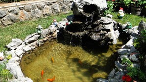 A koi pond with rocks and decorative statues.