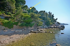 A rocky shoreline with clear water, trees, and a stone wall. - Apartments Aida (Stanici)