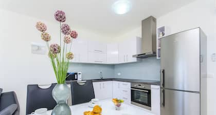 Apartments Villa V