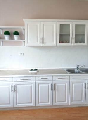 冰箱、炉灶、意式浓缩咖啡机、茶具/咖啡用具