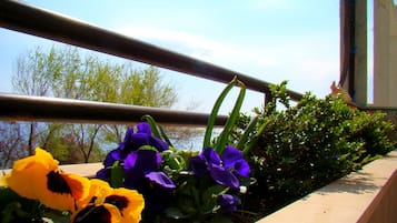 Balcon