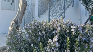 A building with a staircase and a tree. - Apartment Natasa (Vinisce)