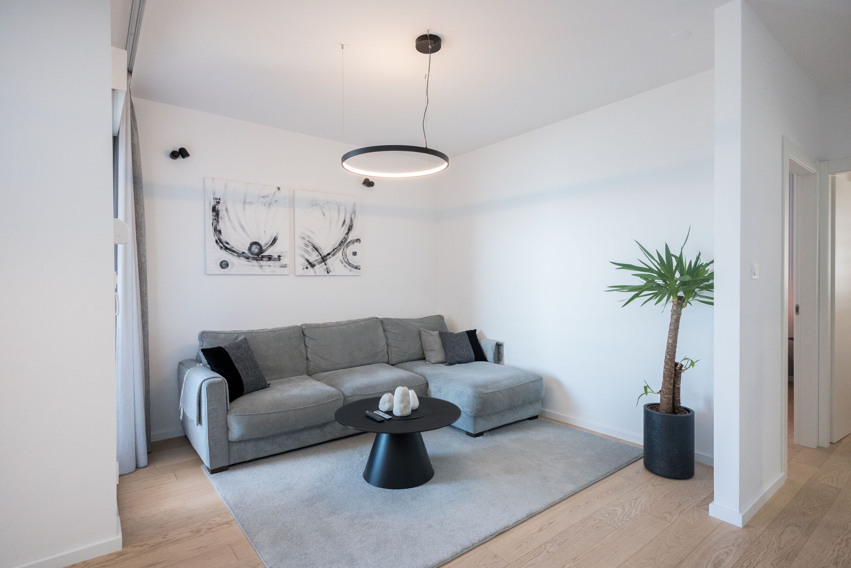 A modern living room with a grey sofa, a black coffee table, a potted plant, and abstract wall art.