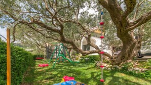 Un jardin avec un grand arbre, une balançoire et un espace de jeux doté d’un tapis bleu et de tortues en plastique.