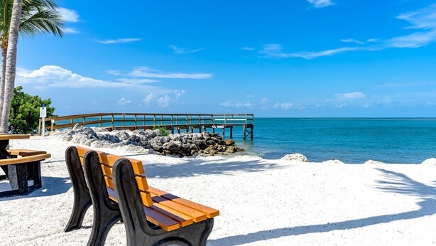 A beach with a wooden bench, a palm tree, and a pier extending into the ocean. - AUGUST Opening, Fishermen, Couples, Families, Pool, Cabana Club (Key Colony Beach)