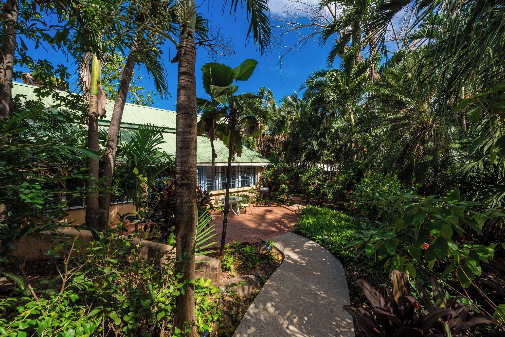 Un jardín exuberante con un sendero curvo que conduce a un edificio con techo verde.