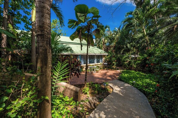 A tropical garden with a pathway leading to a building with a green roof.