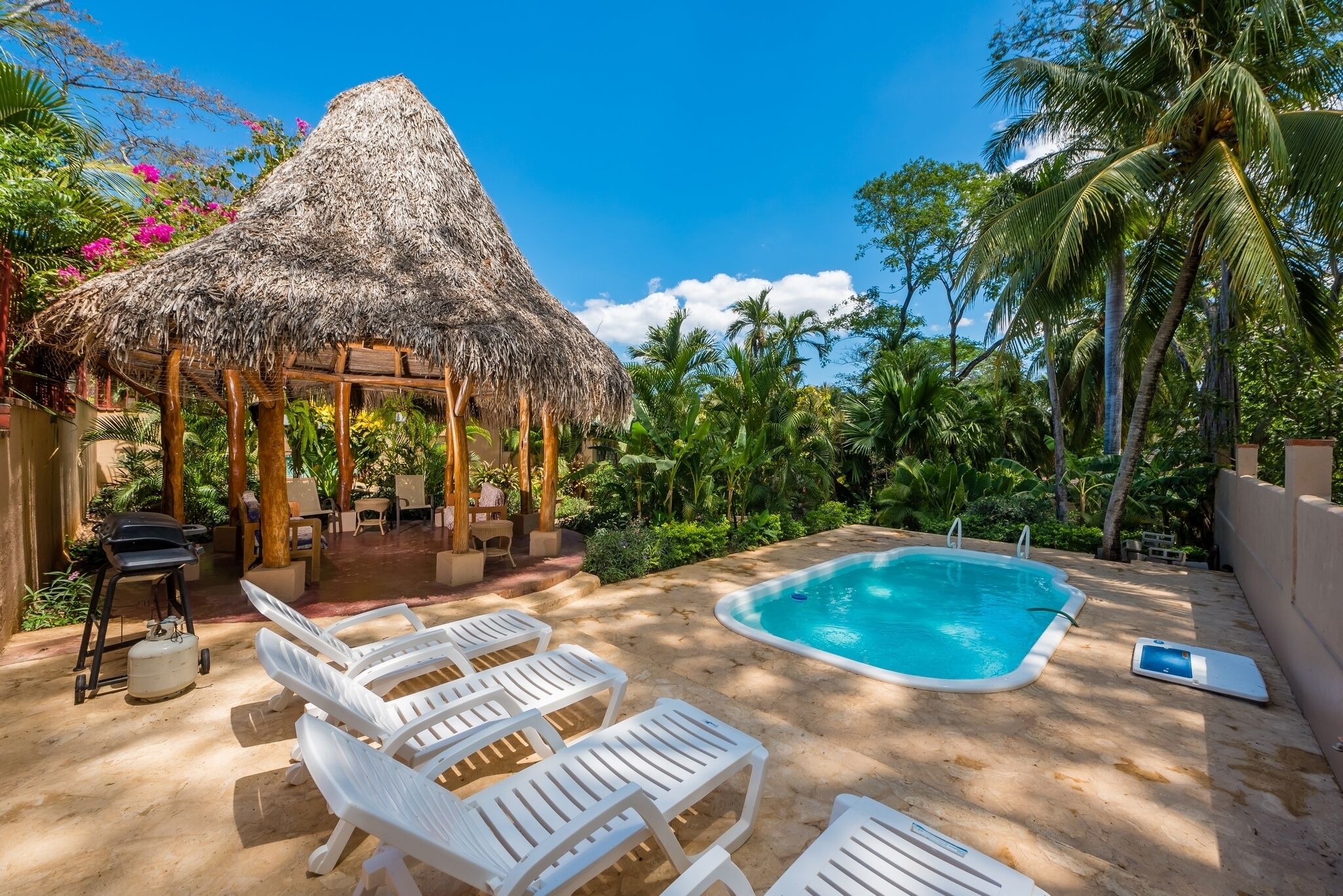 Un espace piscine avec des chaises longues, une structure à toit de chaume et des palmiers.
