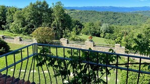 Un balcón con vistas a un paisaje verde exuberante y montañas distantes.