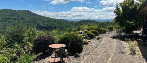 تناول الطعام بالخارج