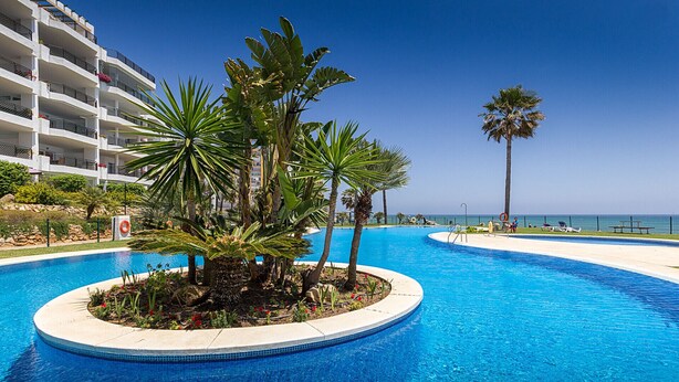 Ein Pool mit Palmen und Blick auf den Ozean.