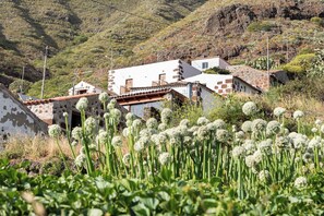 Entorno rural con edificios de piedra tradicionales, un telón de fondo montañoso y un campo de flores blancas al frente.