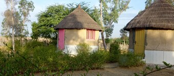 LA PALANGROTTE