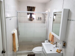 Shower, rainfall showerhead, free toiletries, hair dryer - Grand SunValley Residences (Willemstad)