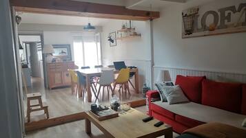 Télévision, cheminée, livres, chaîne hi-fi