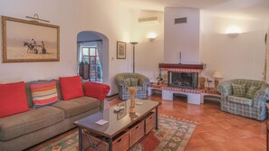 Télévision, cheminée, lecteur de DVD, livres