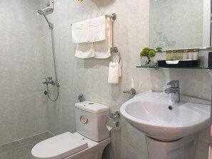 Hair dryer, towels, shampoo, toilet paper