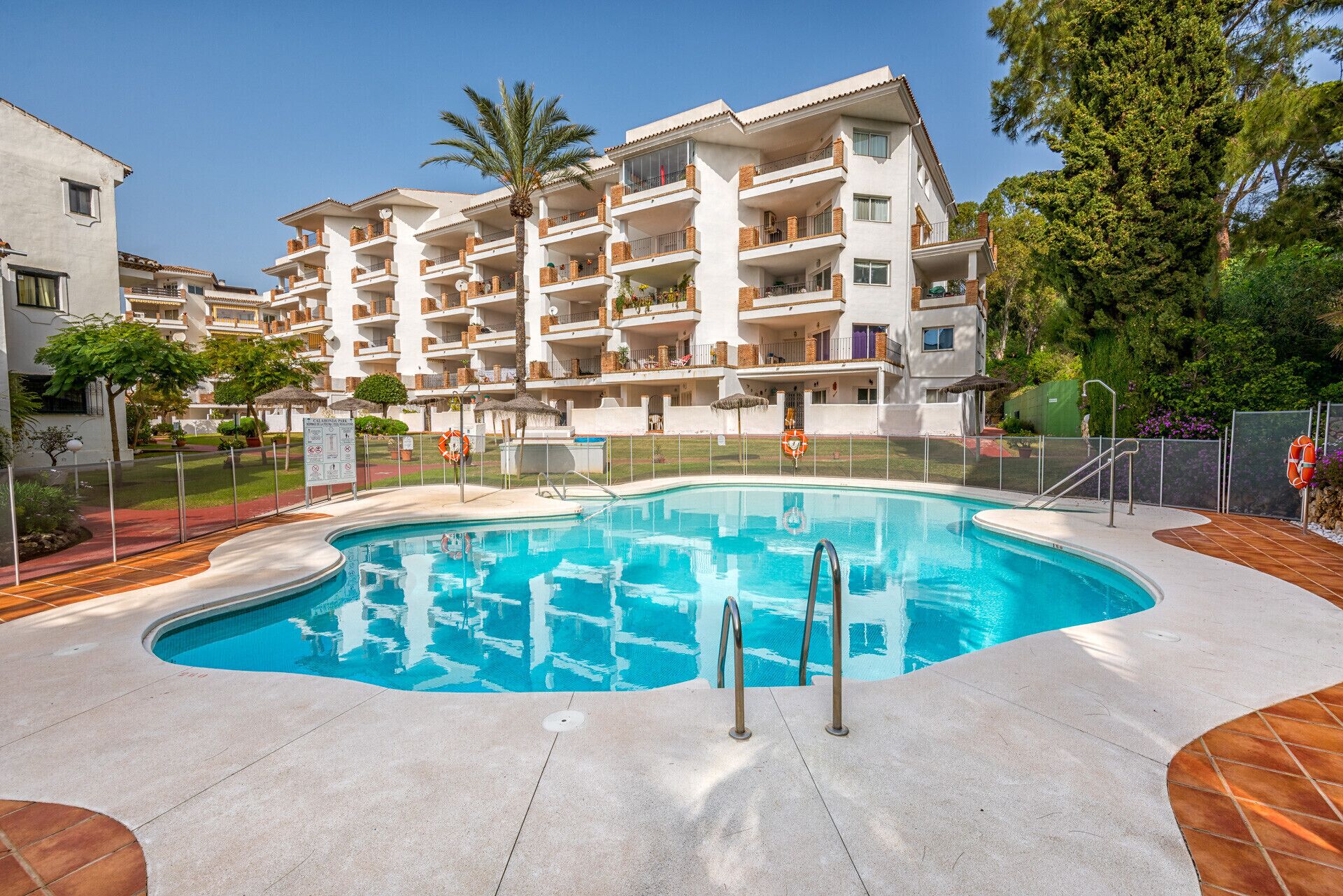 A swimming pool surrounded by a white building with multiple balconies, a palm tree, and a fenced area with a lifebuoy.
