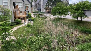 Zona residencial con casas, una terraza de madera y un área verde con árboles.