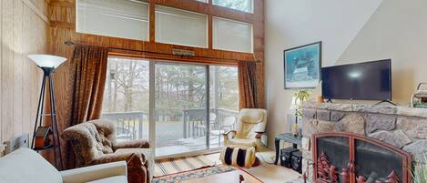 TV, DVD player, video library, stereo