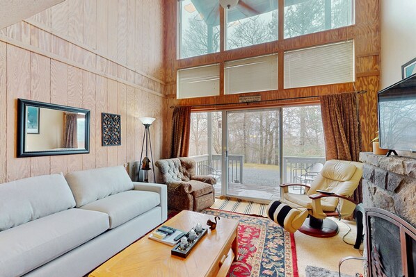 TV, DVD player, video library, stereo