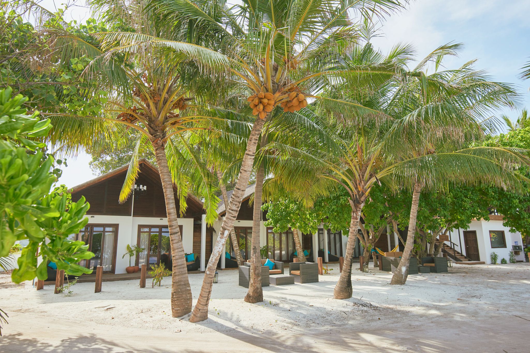 A resort with palm trees, outdoor seating, and a building with large windows.