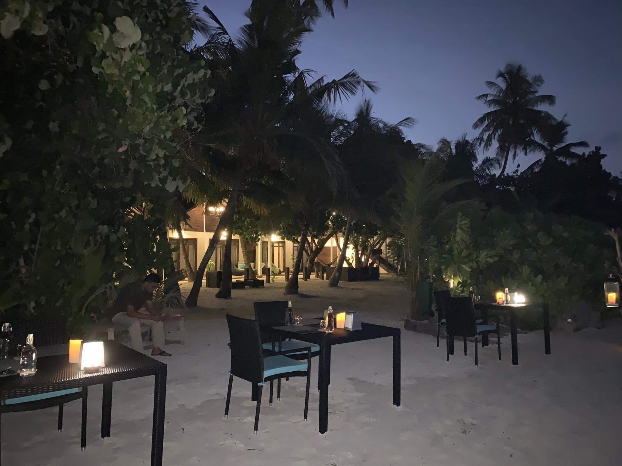 Un área de comedor al aire libre con mesas y sillas, rodeada de palmeras y un edificio al fondo.