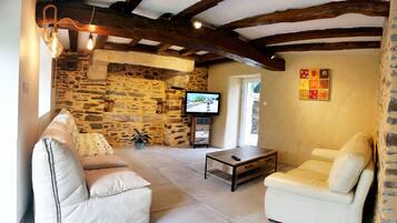 TV, fireplace, DVD player, books