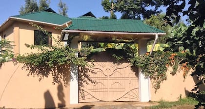 Papagei Home
