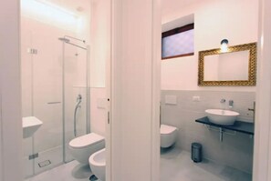 Shower, hair dryer, bidet, towels