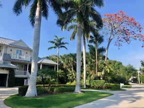 Property grounds - 8M Dollar Home, 3 Houses from Beach in Old Naples! (Naples)