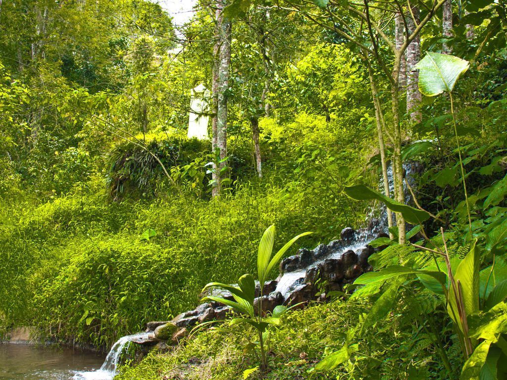 Jardines del alojamiento