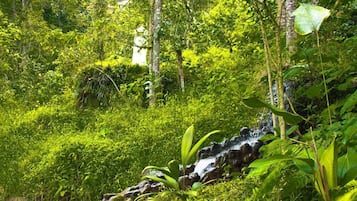 Jardines del alojamiento