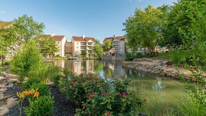 A residential area with a pond, surrounded by greenery and multi-story buildings.