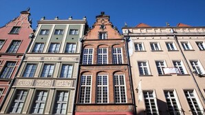 A row of historic buildings with distinct architectural styles, including ornate facades and varied window designs. - Black Swan House (Gdansk)