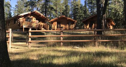 Moose Cabin at Cross WM Ranch - AC/Laundry included