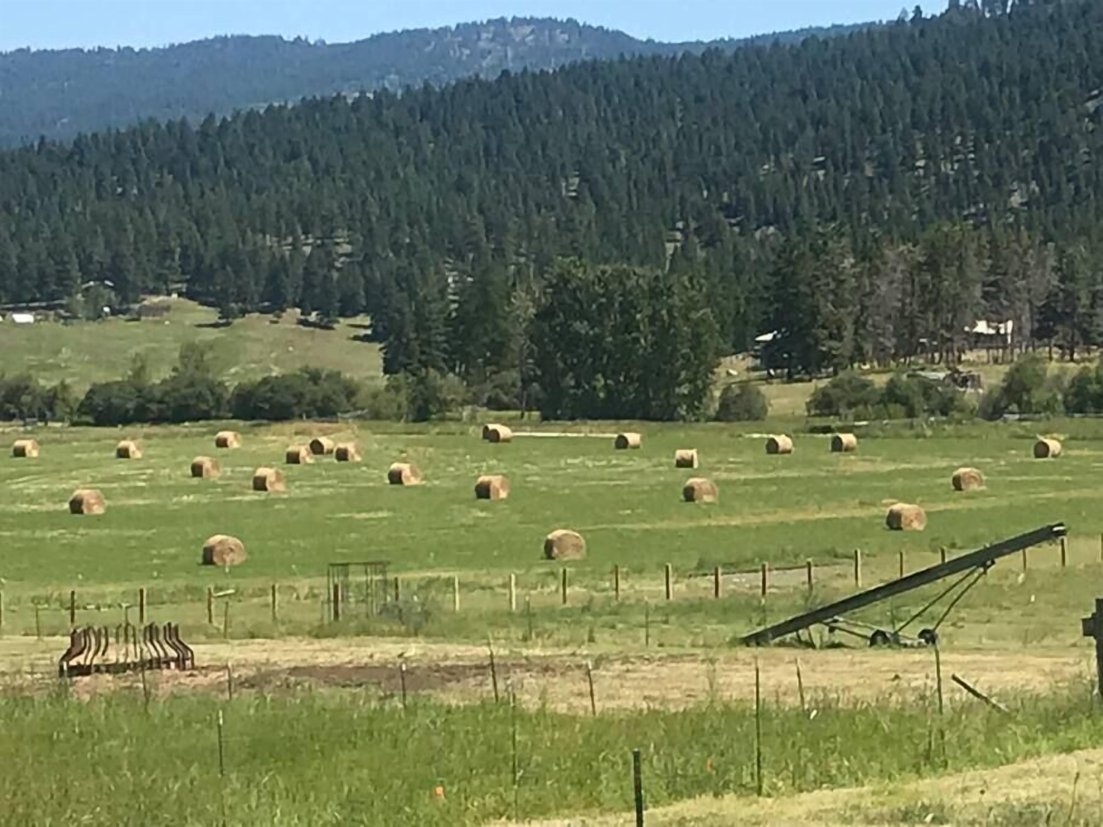 Paisagem rural com fardos de feno espalhados por um campo verde, uma cerca e uma estrutura de madeira ao primeiro plano.